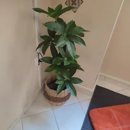 Apartment Living *